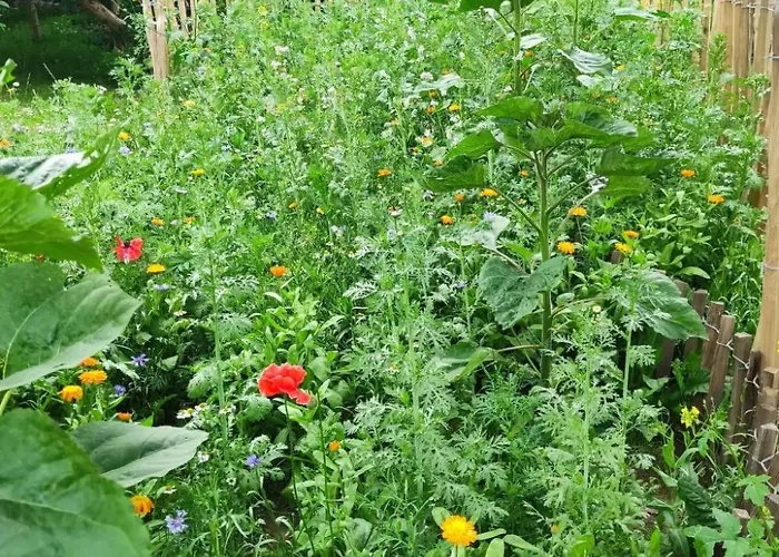 Janet Ratschkowski By Interhome *